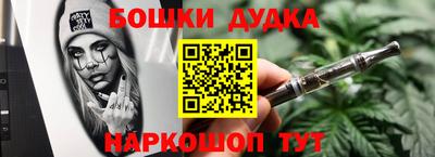 МДПВ Будённовск