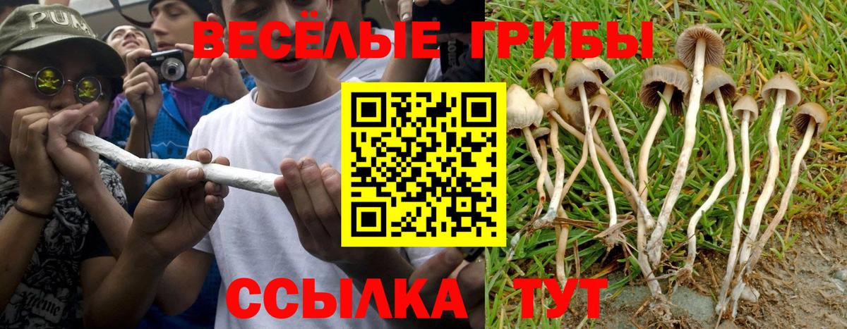 Псилоцибиновые грибы мухоморы Мегион